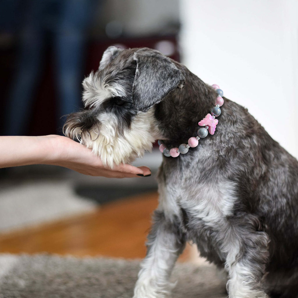 Dog wearing the JOGIA butterfly beaded collar while being gently petted indoors.