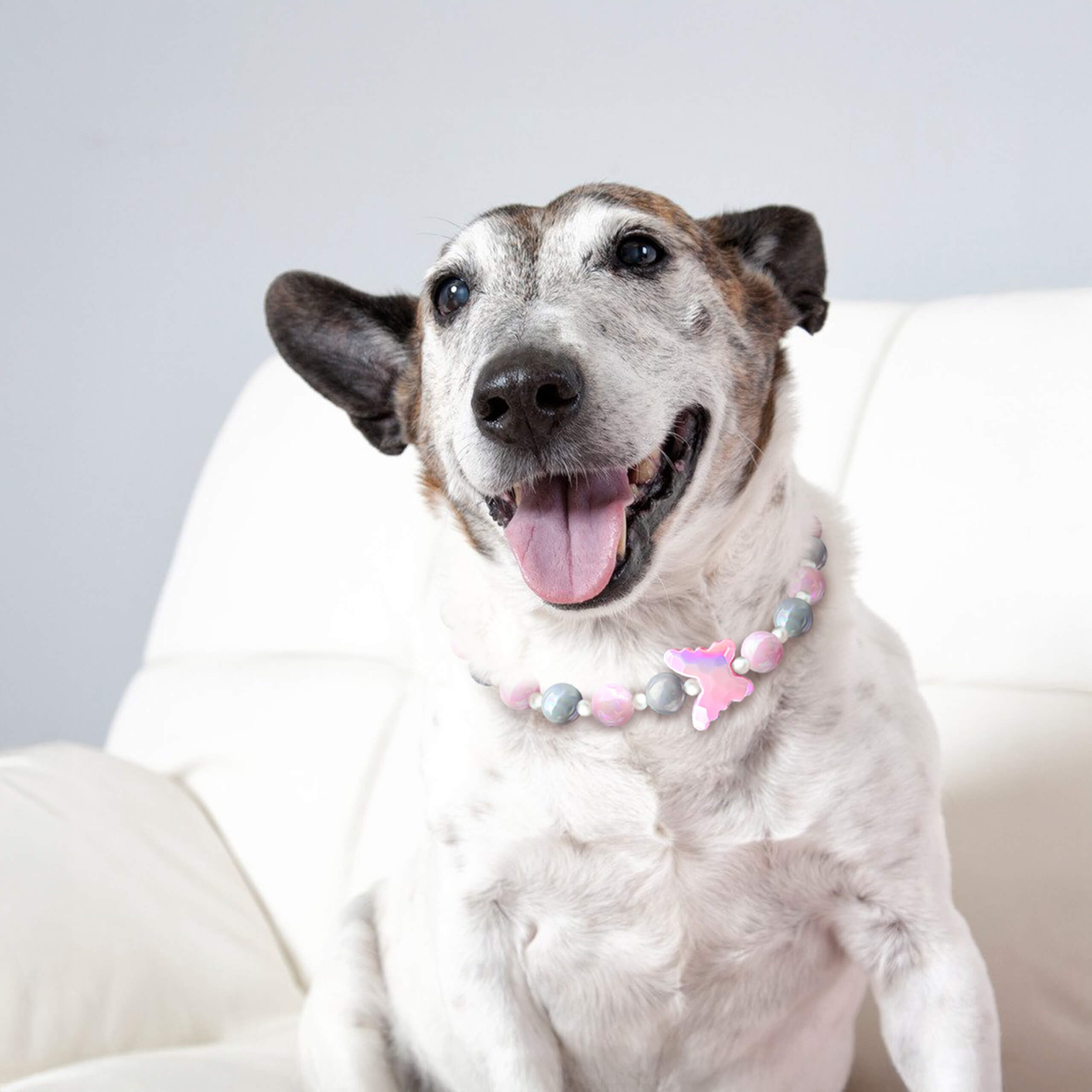 Dog smiling while wearing the JOGIA butterfly beaded collar on a soft white backdrop.