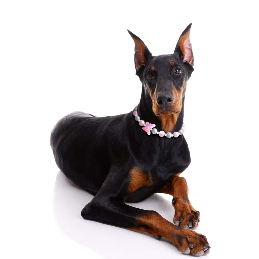 Dog lying down wearing the JOGIA butterfly beaded dog collar in studio lighting.