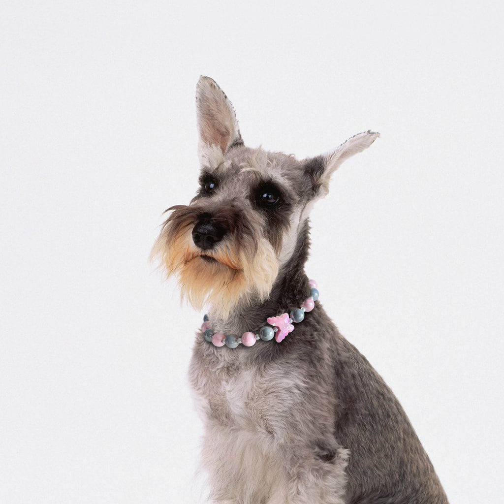 Dog wearing the JOGIA butterfly beaded collar with soft lighting on a white background.