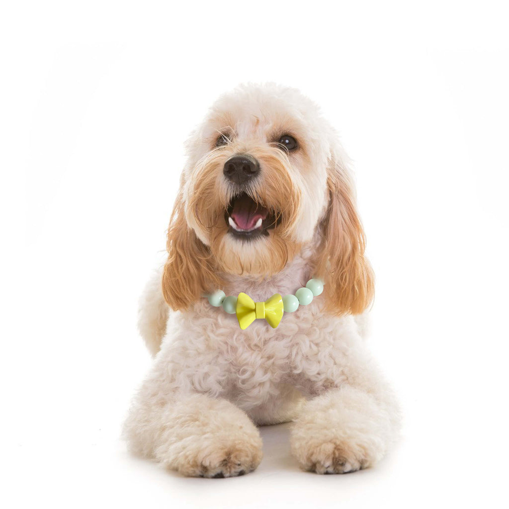 Dog sitting on white backdrop wearing the JOGIA glow-in-the-dark beaded collar.