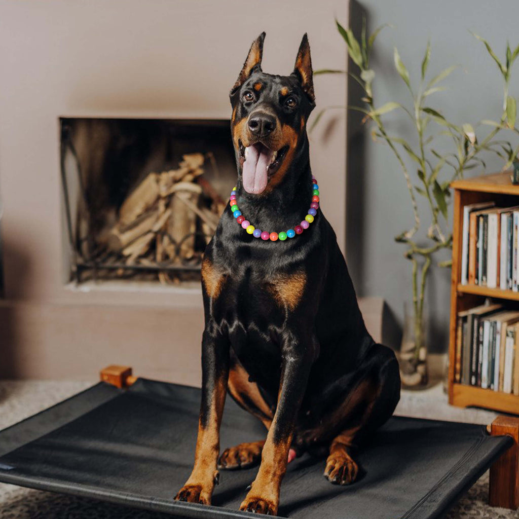 Large dog sitting indoors wearing the JOGIA rainbow beaded collar near a fireplace.