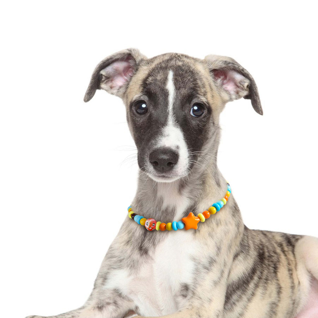 Dog staring into the camera while wearing the JOGIA star beaded collar in a soft portrait.