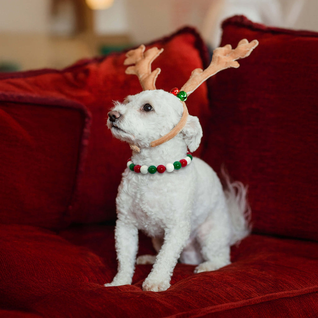 small dogs wearing JOGIA Christmas beaded collars sitting on a red sofa next to holiday decor.