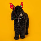 Dog wearing JOGIA Christmas beaded collar with festive bow, photographed against a warm yellow background.