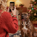 Pet parent taking a holiday photo of a dog wearing the JOGIA Christmas beaded collar and matching phone strap.
