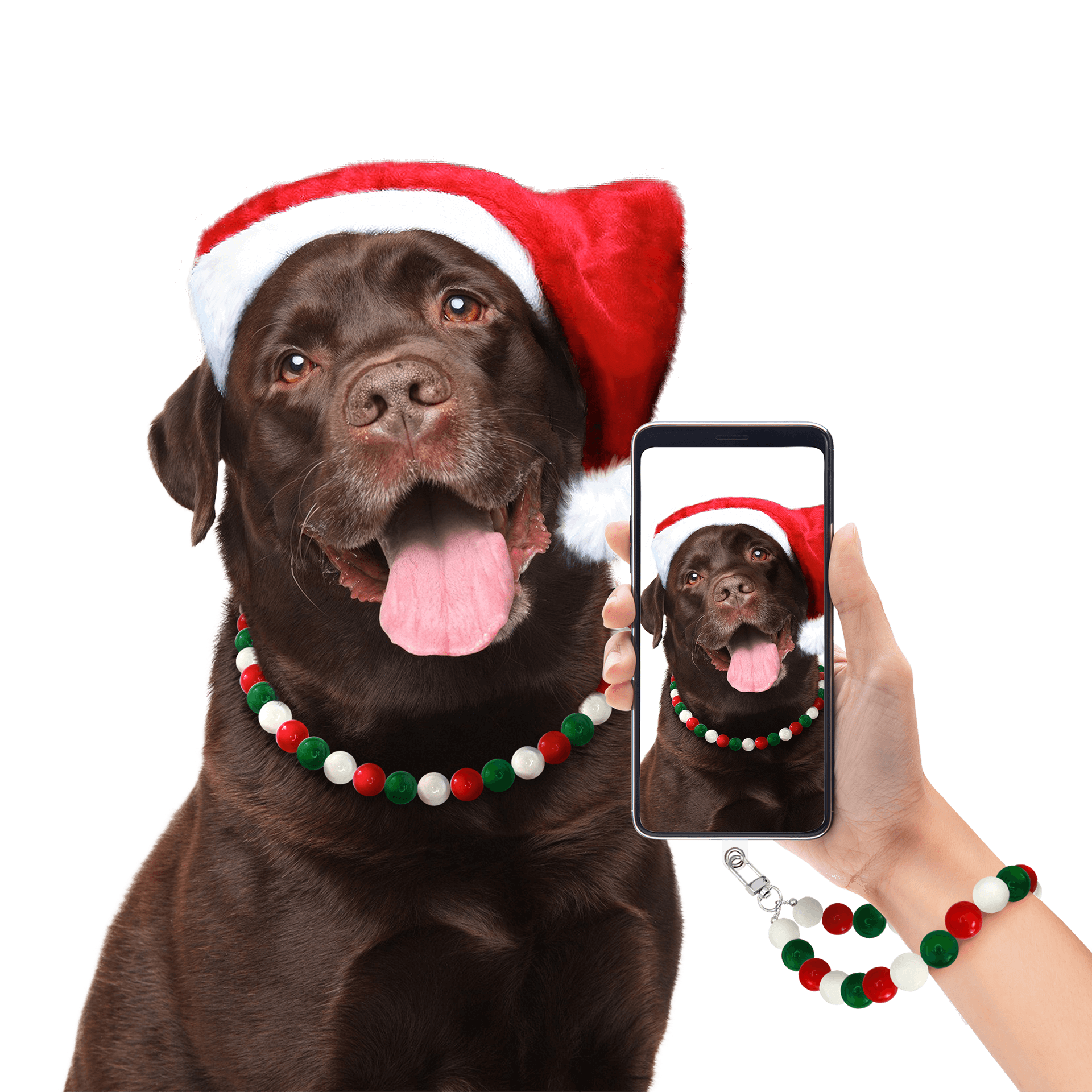 Dog wearing JOGIA Christmas beaded collar posing with matching phone wrist strap during a holiday photo.