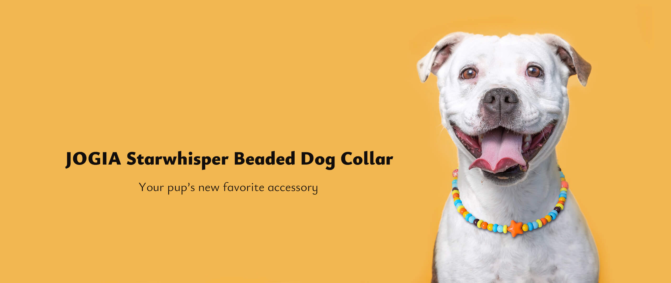 JOGIA Star Beaded Dog Collar